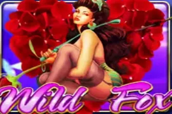 Wild Fox